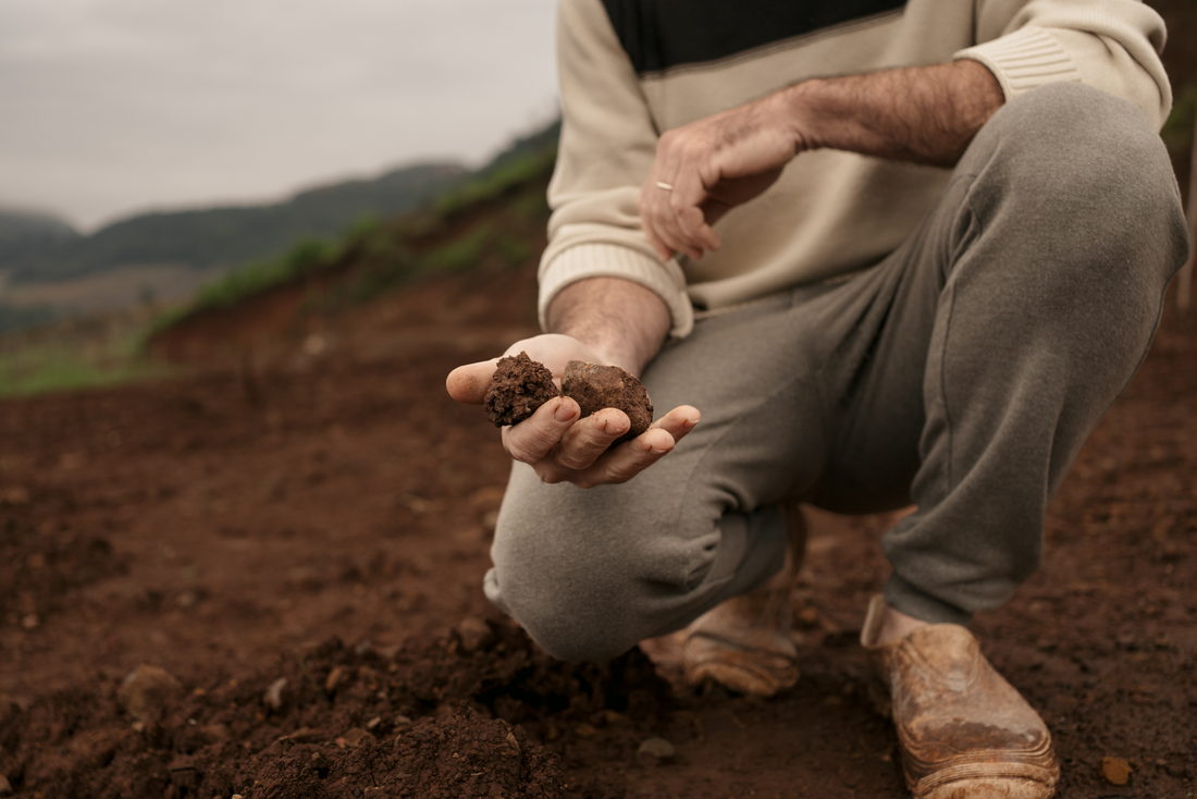 Mãos segurando terra recém-revolvida na encosta