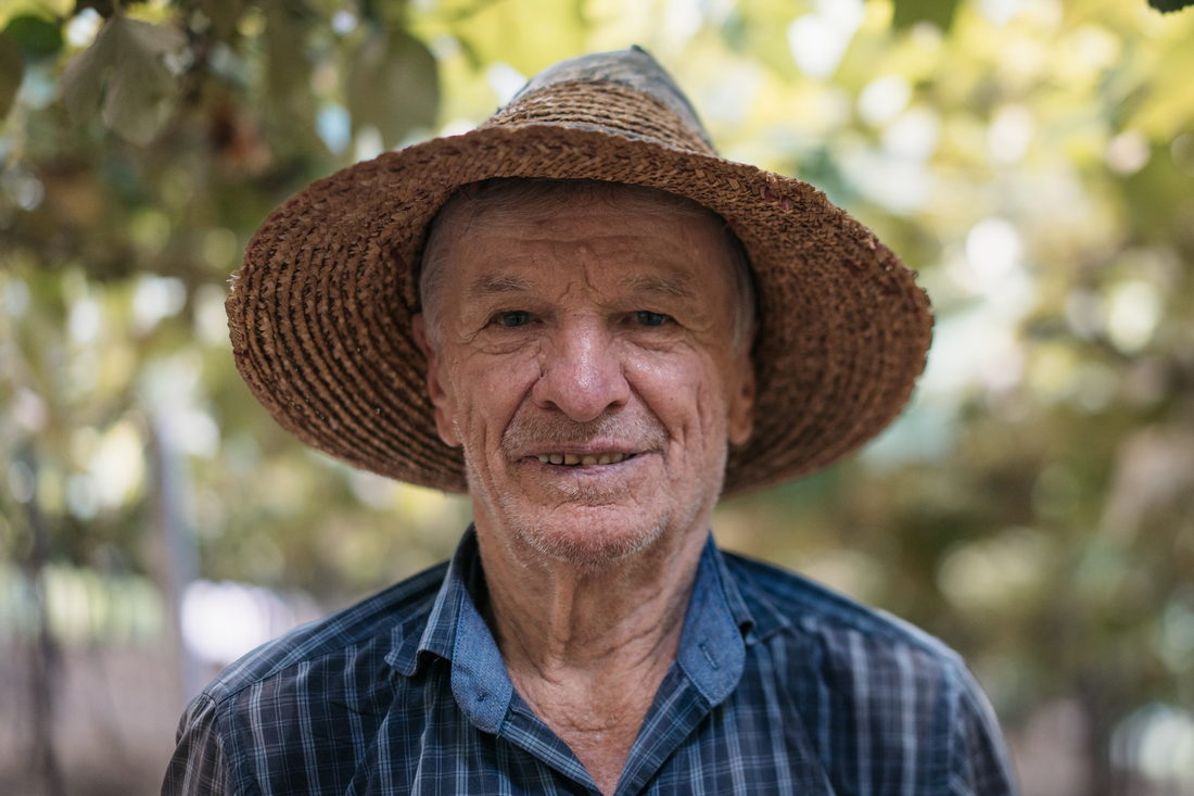 Retrato de um agricultor de chapéu de palha entre as parreiras